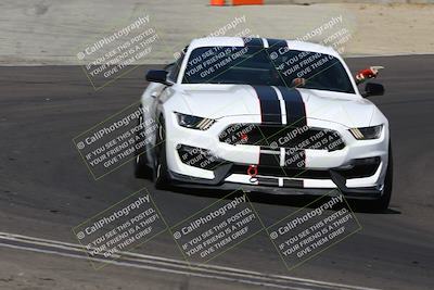 media/Aug-25-2024-Speed Ventures (Sun) [[8c15657448]]/Green Group/Session 2 (Turn 5)/